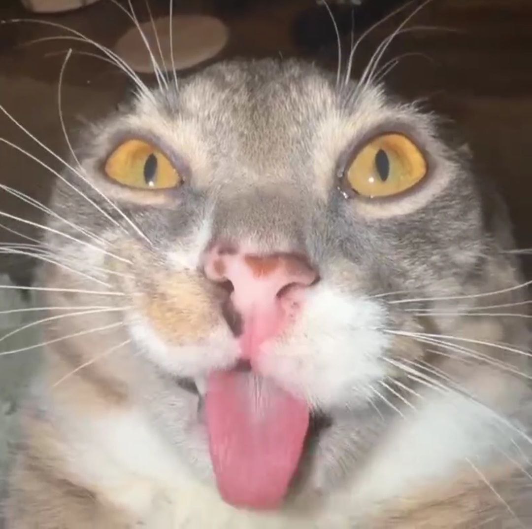 madk1d,_тёмный_принц_TaoBao_telegram_@painhubmedia